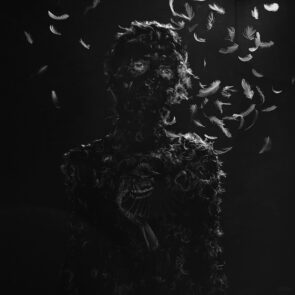 Fallen